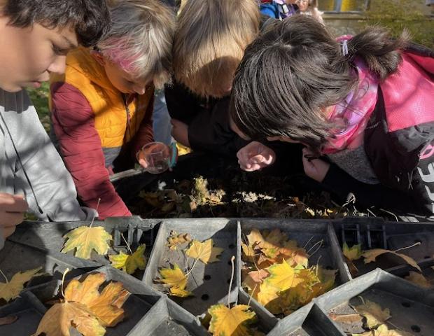 nejnovější fotogalerie