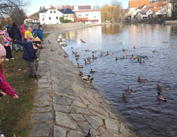 nejnovější fotogalerie